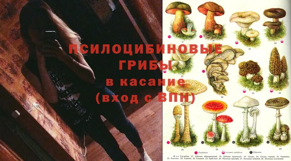 гидропоника Алзамай