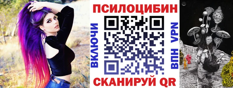 Галлюциногенные грибы Psilocybine cubensis  закладки  Николаевск 